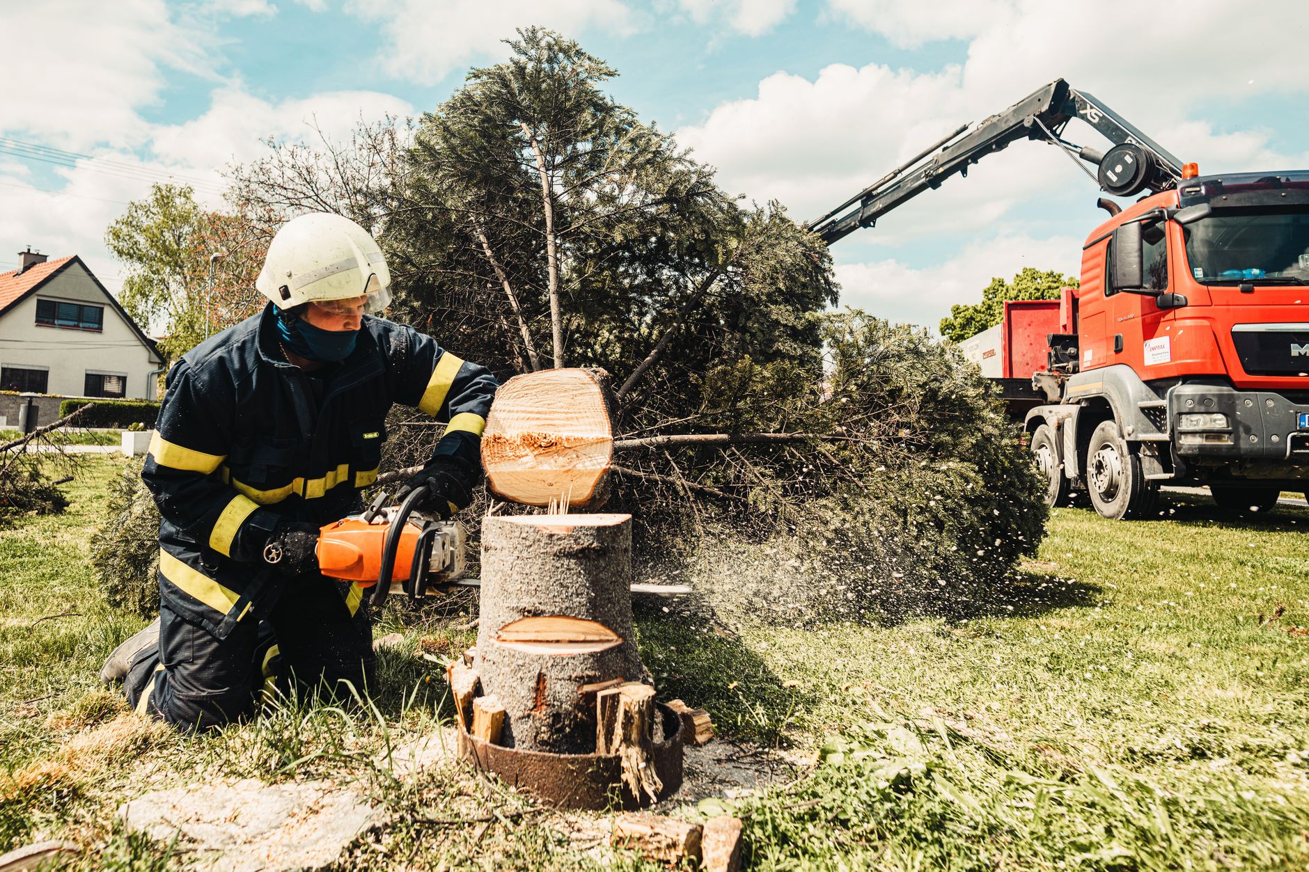 Stump Grinding – Seguin